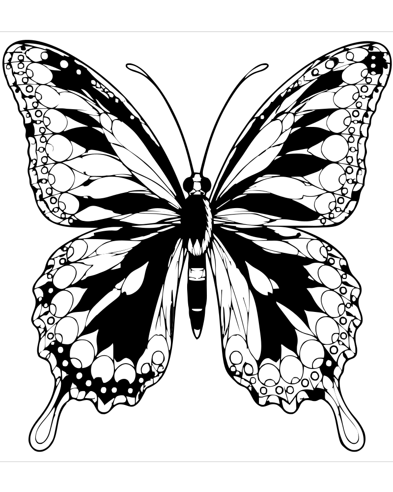 Big-Wing Butterfly for Adults picture to color — Butterfly coloring page for kids